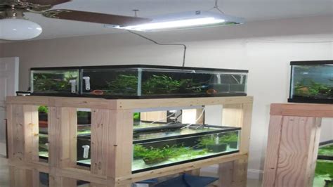 How To Convert Aquarium Into Planted Aquarium A Step By Step Guide To