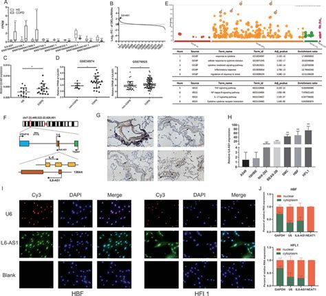 Long Noncoding RNA LncRNA IL6AS1 Is Overexpressed In Chronic