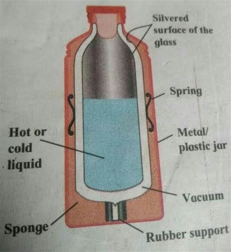 Draw A Neat Labelled Diagram Of A Thermos Flask How Does It Prevent