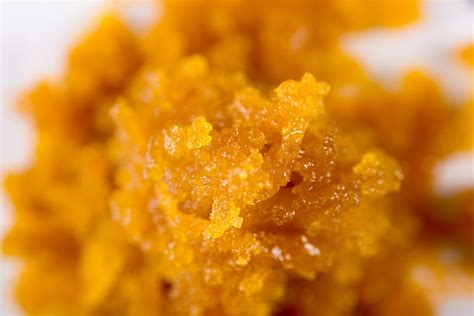 Solventless Concentrates vs. Solvent-Based Concentrates | Chronic Creations