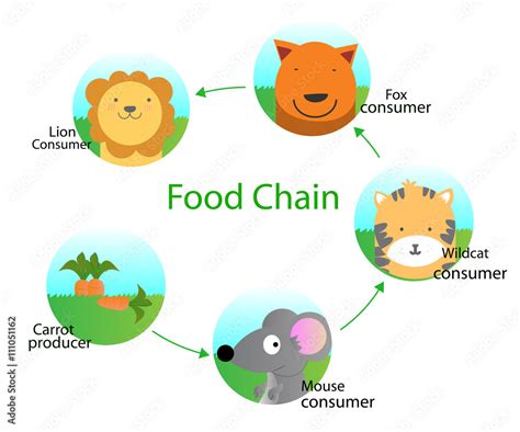 Food chain for kids Stock Vector | Adobe Stock