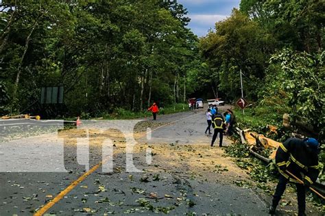 Fuertes Vientos Causan Estragos En Carretera Dipilto Las Manos En Nueva