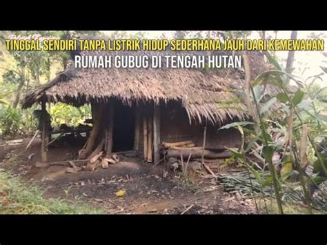 MIRIS Baru Kali Ini Ada Yang Berani Mencuri Di Gubug Tengah Hutan