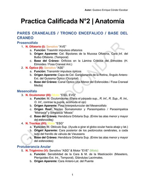 Solution Resumen De Pares Craneales Neuroanatomia Pc2 Studypool