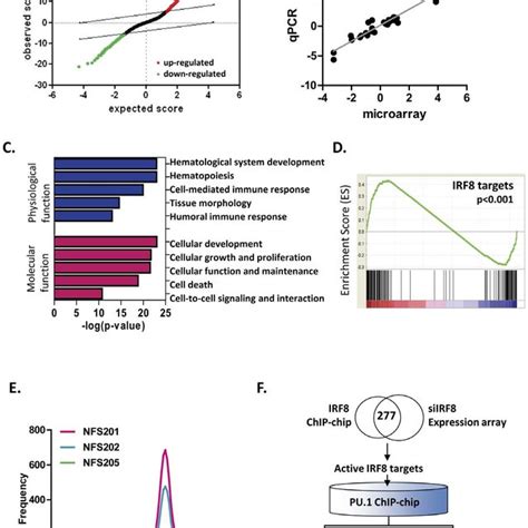 Identification Of Irf And Pu Targets In Mouse Cell Lines Of Gc B