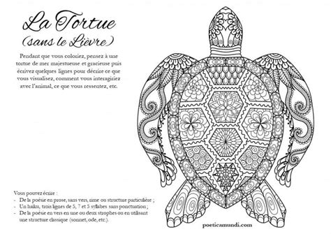 Activité Coloriage Et Poésie La Tortue Poetica Mundi