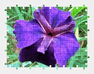 Flower Jigsaw Puzzles Online