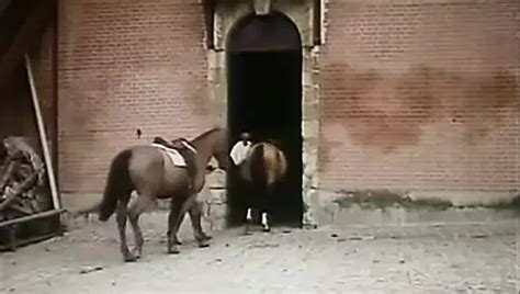 Free Adultery Porn Videos Xhamster