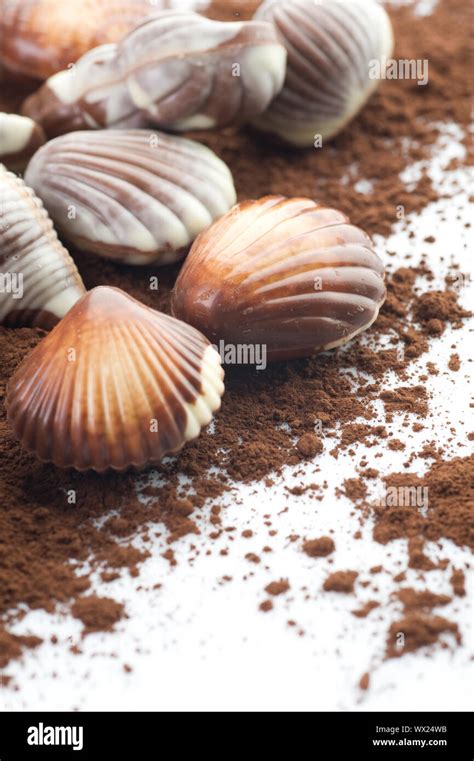 Belgian chocolate seashells hi-res stock photography and images - Alamy