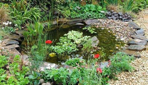 How To Build A Large Wildlife Pond Garden Junkie