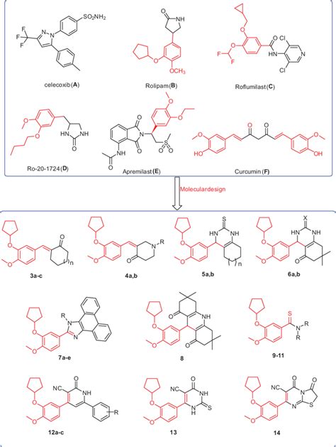 The Structures Of The Reported Antitumor Agents A F With COX 2 Or