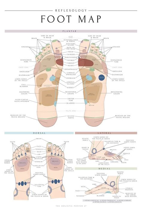 Reflexology Foot Chart Reiki Foot Pain Chart Acupressure Chart