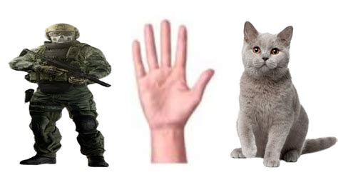 LOOK AT THIS GOD DAMN PUSSY YouTube