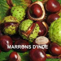 Marron D Inde Extrait Plante Fraiche Ml A Vogel Hyperbio