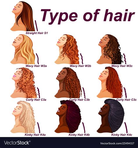 top   types  hair care  hair styles