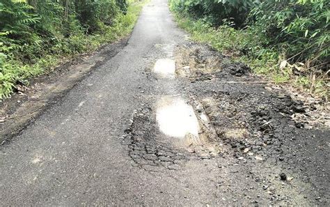 Dinas Pupr Perkim Tanggapi Keluhan Warga Terkait Jalan Ampari Apar Batu