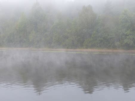 Free Fotobanka Krajina Voda P Roda Ba Ina Jezero Eka Rybn K