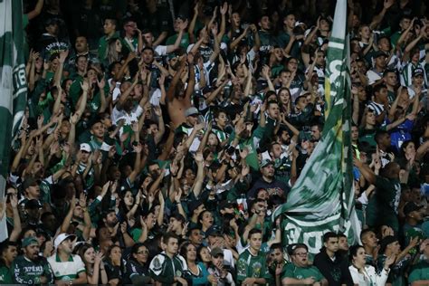 Coritiba Espera Contar Com A Torcida Com Nova Promoção Futebol