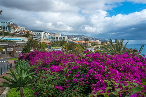 Madeira Paradise Hiking Tour Portugal Tripsite