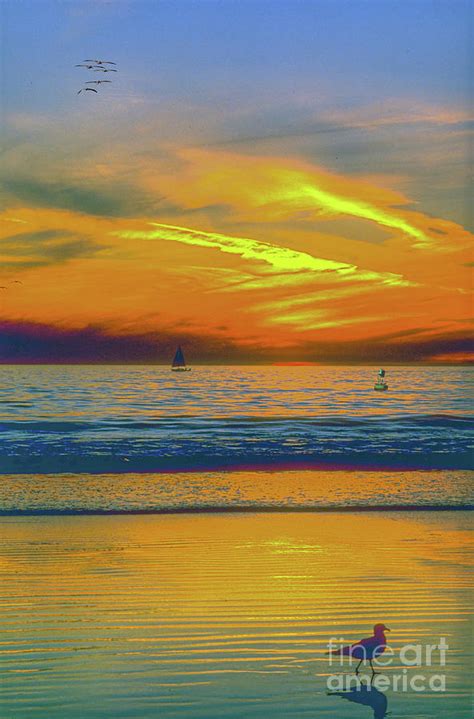 Seagull Sailboat Sunset Photograph By David Zanzinger Fine Art America