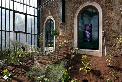 Glasshouses Jardin Des Plantes Paris Manuel Cohen