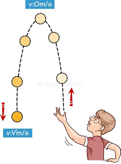 Force And Motion Vector Illustration. Physics Movement Examples ...