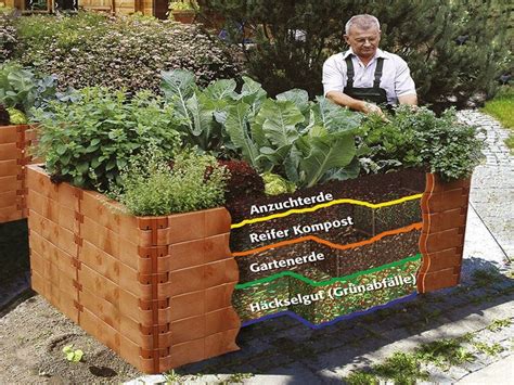 Raised Vegetable Gardens Raised Garden Beds Raised Beds Herb Garden