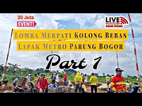 Live Part Lomba Merpati Kolong Bebas Tabanas Juta Lapak Metro