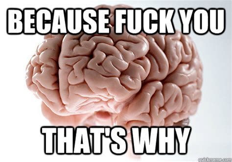 BECAUSE FUCK YOU THAT S WHY Scumbag Brain Quickmeme