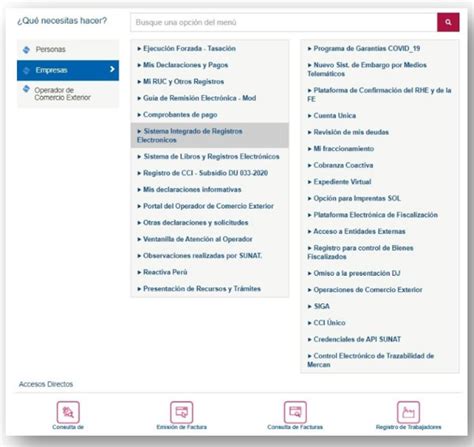 Formas De Acceso Al Sire Y Servicios Principales Del Rvie Y Rce