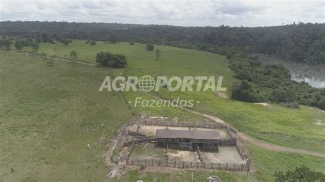 Fazenda Venda No Par Paragominas Ha Agroportal