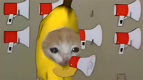 Banana cat meme - YouTube