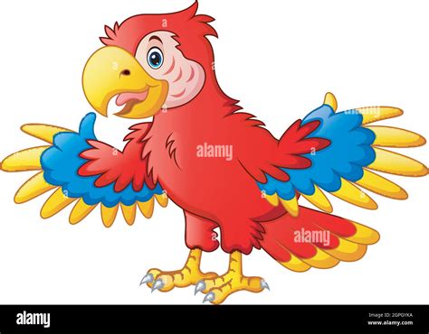 Vector Illustration Of Cute Parrot Cartoon Stock Vector Image And Art Alamy