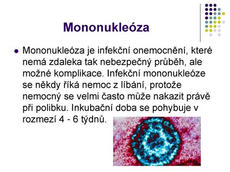 VIRY ppt stáhnout