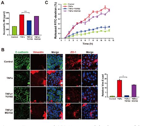 Figure 5 From Inhibition Of Immunoproteasome Attenuates NLRP3