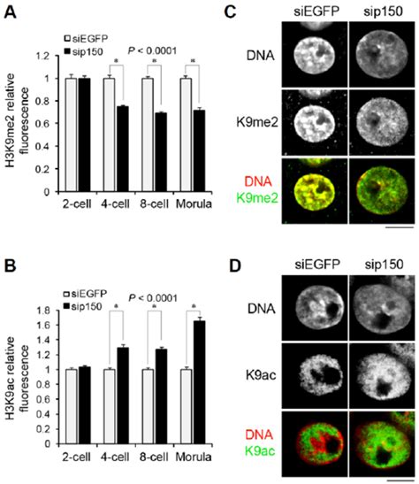 Distribution Of H Variants Affects The Pattern Of Histone