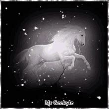 Animated Mustang Horse GIFs | Tenor