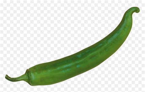 Jalapeno Clipart Hot Pepper Green Chili Pepper Png Transparent Png Vhv