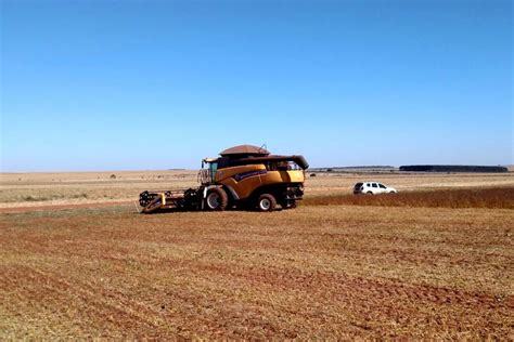 Iagro alerta produtores para obrigatoriedade do cadastro da área onde