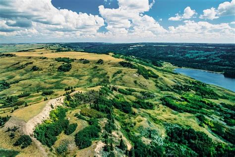 Cypress Hills Provincial Park