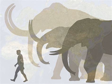 Is it time for de-extinction? | TED Talks