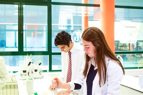 SEK Education Group y la sostenibilidad: certificación B corp