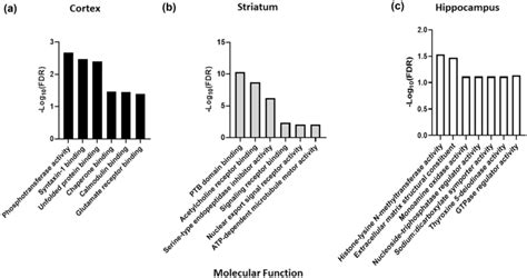 Mf Analysis Was Conducted On The Sno Proteins That Are Exclusive To A