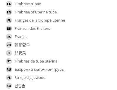 Fimbriae of uterine tube - vet-Anatomy - IMAIOS