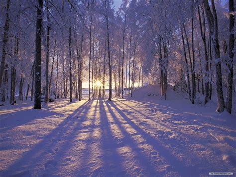 Winter Screensavers And Wallpapers - Wallpaper Cave