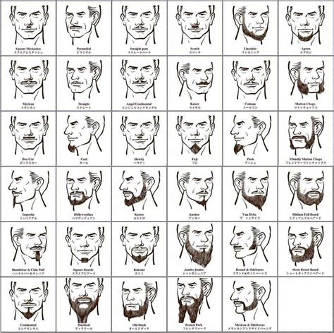 Mens Facial Hair Styles Hair Growth Charts Hair And Beard Styles