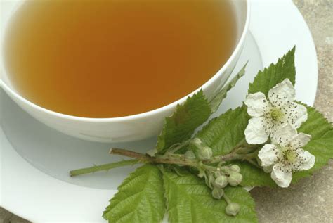 Herb Tea Leaves Blossoms Billberry Vaccinium Editorial Stock Photo