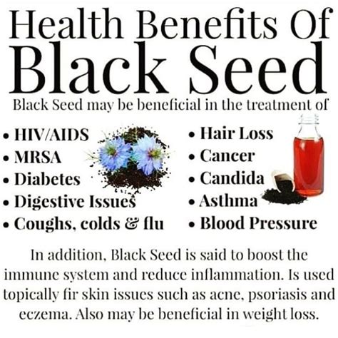 Benefits of black seed oil - taylormine