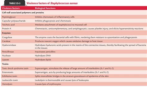 Pathogenesis And Immunity Staphylococcus Aureus