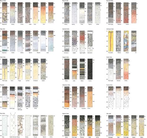 Soil Classification Illustrations Manaaki Whenua